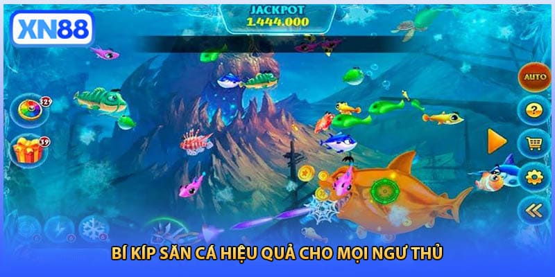 Bí kíp săn cá hiệu quả cho mọi ngư thủ