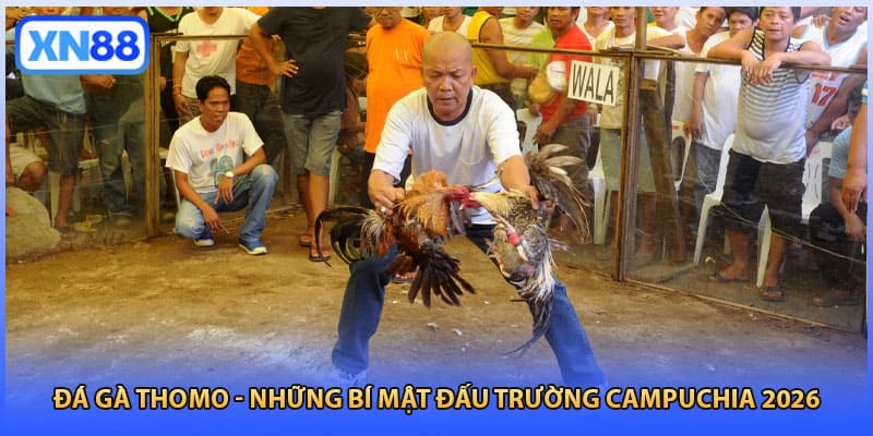Đá Gà Thomo - Những Bí Mật Đấu Trường Campuchia 2026